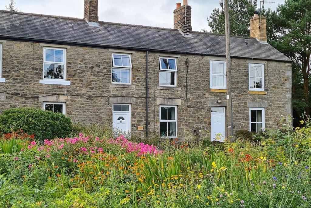 Woodcutters Cottage, Northumberland Haltwhistle Esterno foto